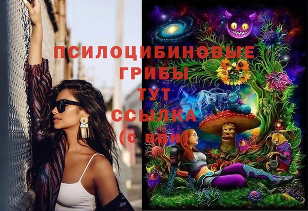прущий лед Куйбышев