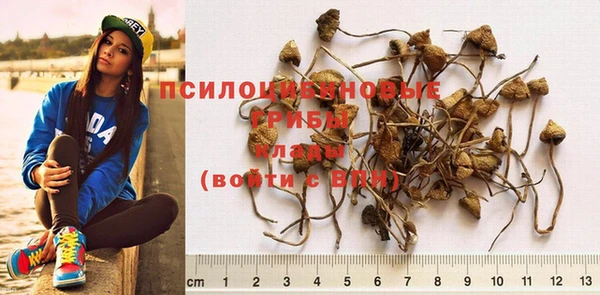 кокс Кукмор