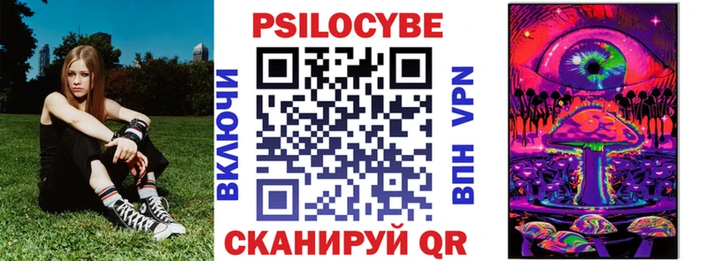Галлюциногенные грибы прущие грибы  купить   Циолковский 